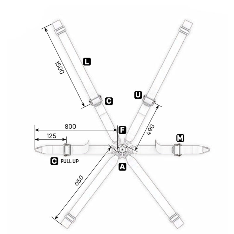 OMP Cintura ONE 2" WRC Pull Up - Image 2